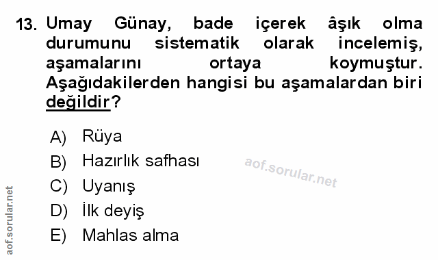 Soru 13