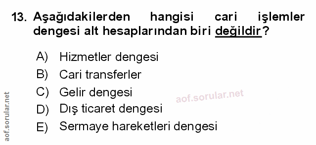 Soru 13