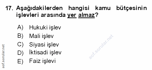Soru 17