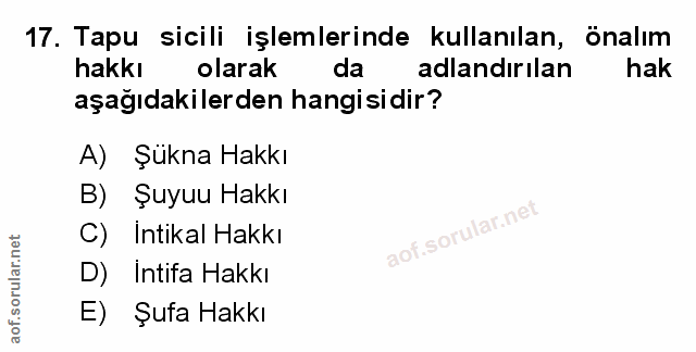 Soru 17