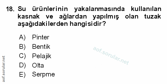 Soru 18