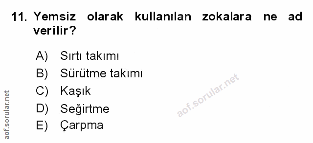 Soru 11