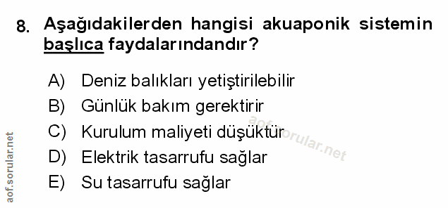 Soru 8