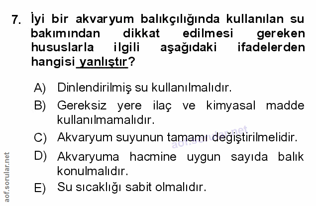Soru 7