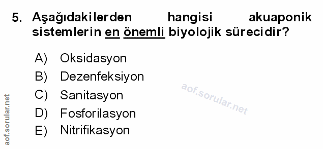 Soru 5