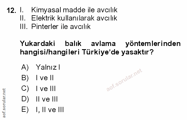 Soru 12