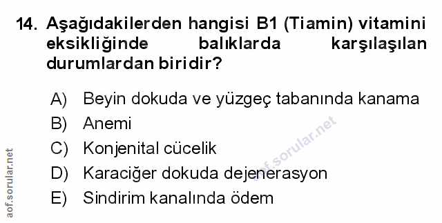 Soru 14