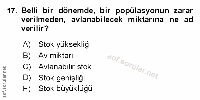 Soru 17