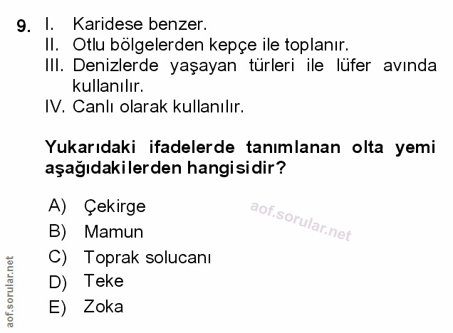 Soru 9