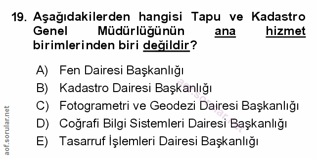 Soru 19