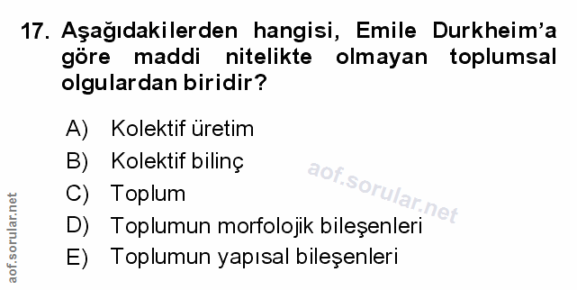 Soru 17