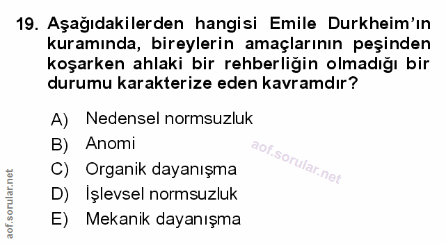 Soru 19