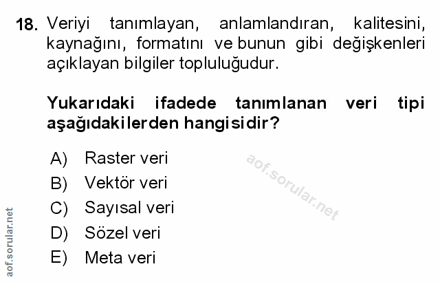 Soru 18