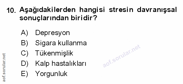 Soru 10