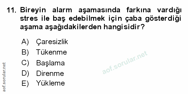 Soru 11