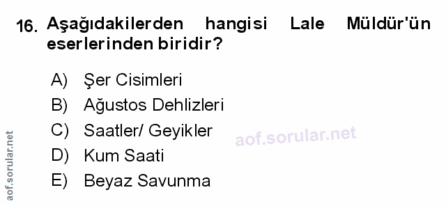 Soru 16