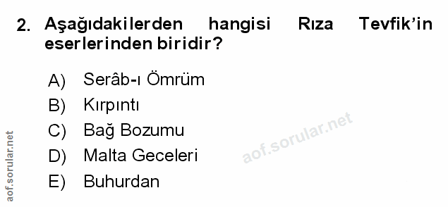 Soru 2