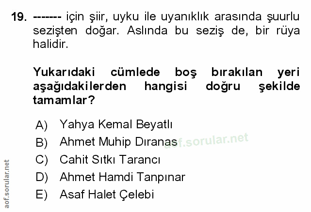 Soru 19