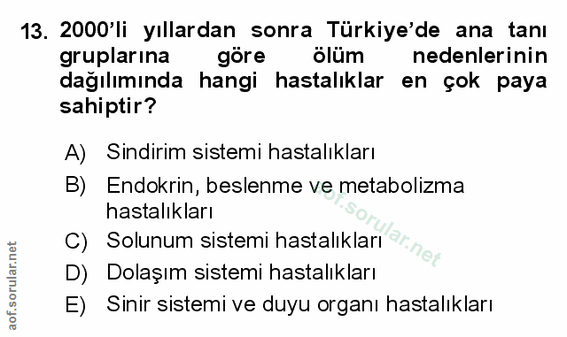 Soru 13