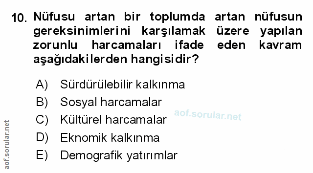 Soru 10