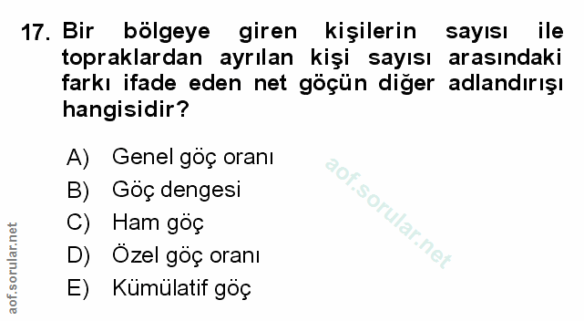 Soru 17