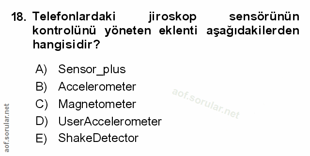 Soru 18