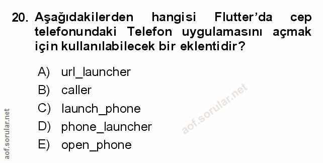 Soru 20