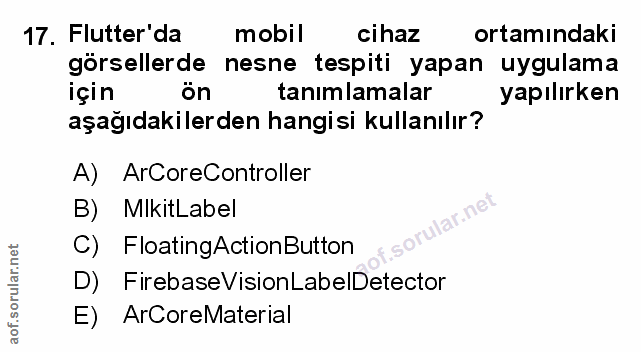 Soru 17