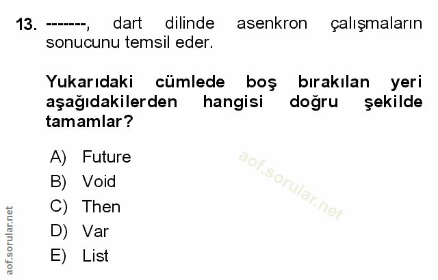 Soru 13