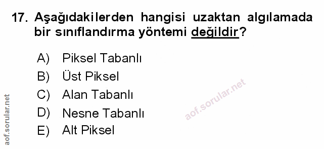 Soru 17