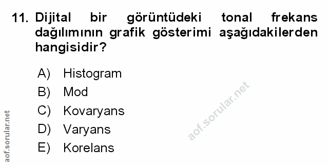 Soru 11