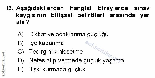 Soru 13