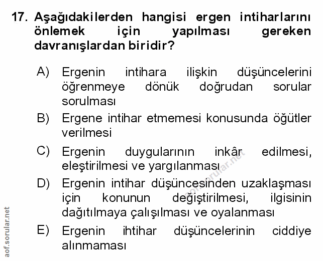 Soru 17