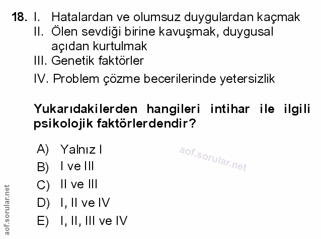 Soru 18