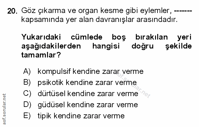 Soru 20