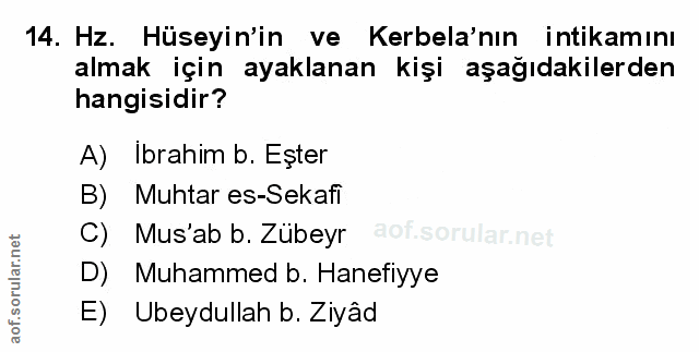 Soru 14