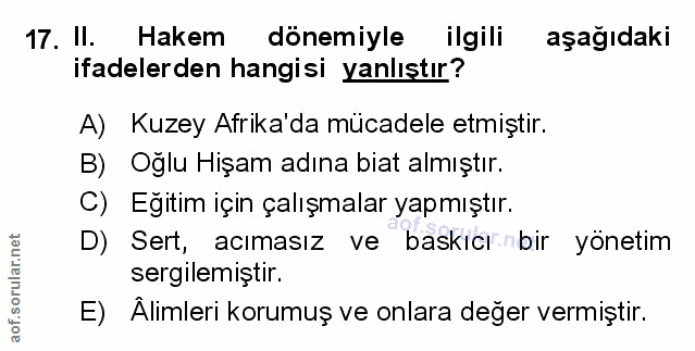 Soru 17