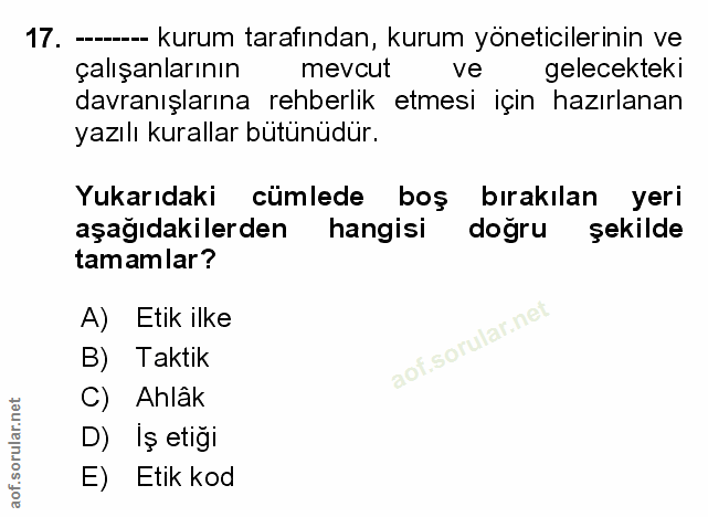 Soru 17