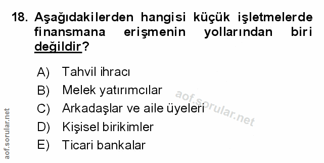 Soru 18