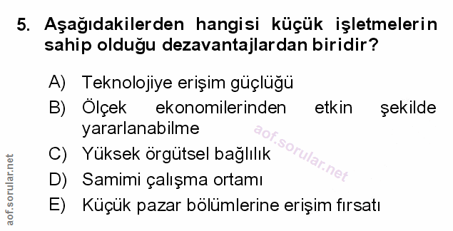 Soru 5