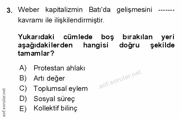 Soru 3