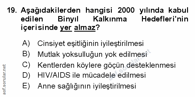 Soru 19