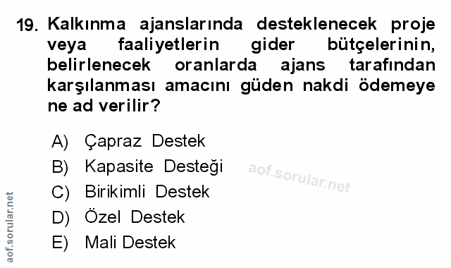 Soru 19