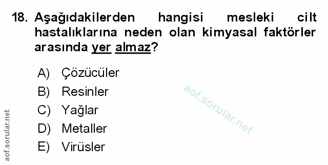 Soru 18