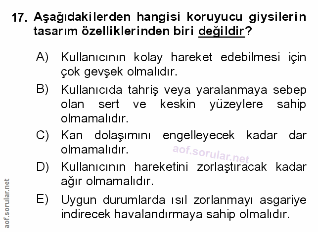 Soru 17