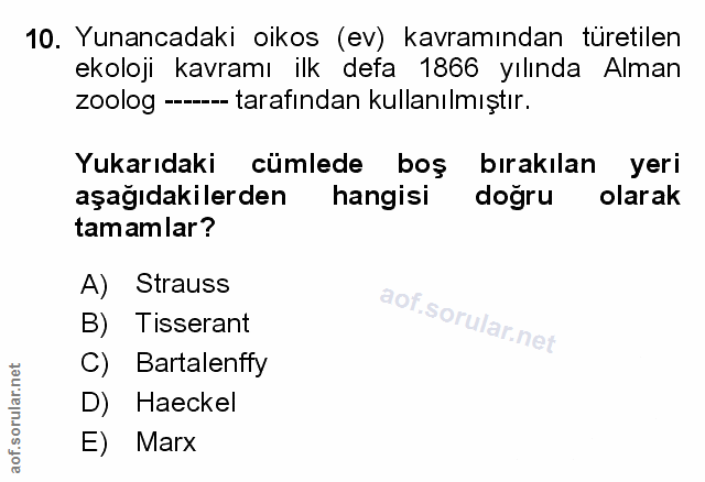 Soru 10