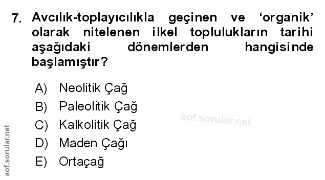 Soru 7