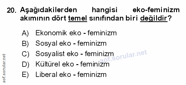 Soru 20