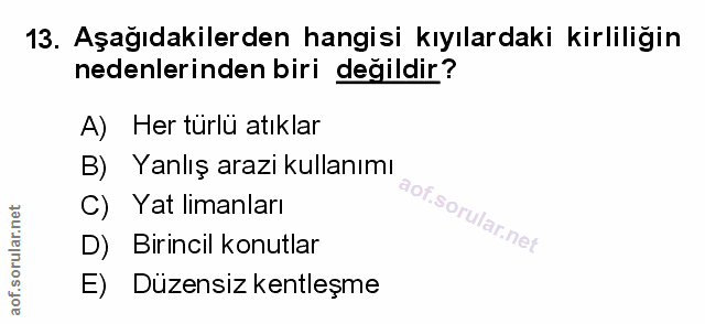 Soru 13