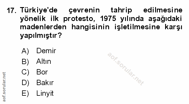 Soru 17